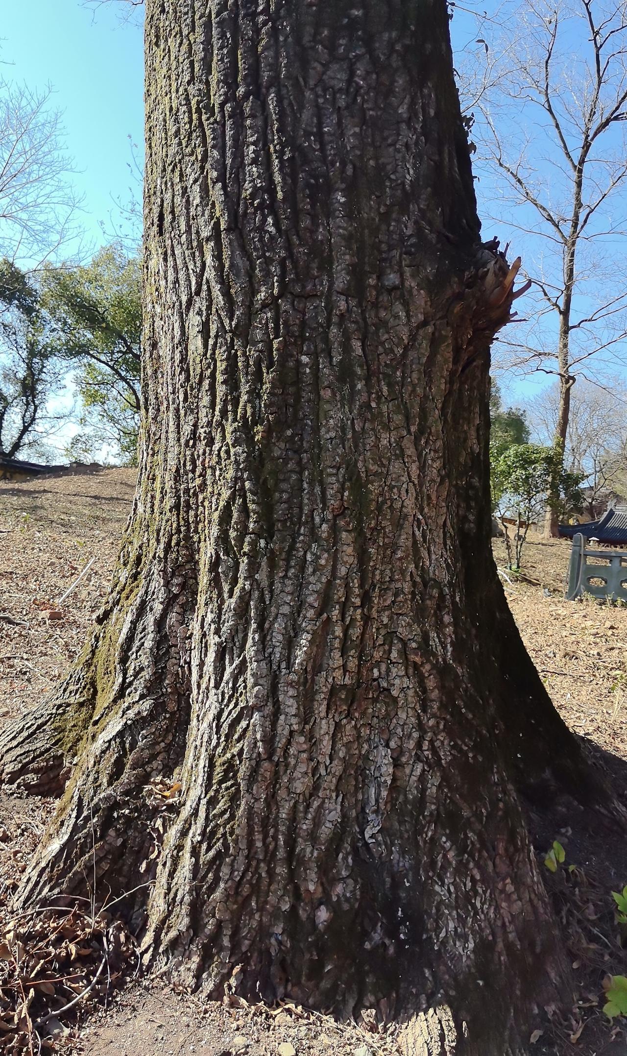 你同意二胎随母姓吗？

大部分意见认为：如果女方是独生女，娘家经济条件比较好，自