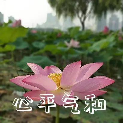 春到江南先问柳，
夏来塞北只观杨。
横批：《问柳与观杨》