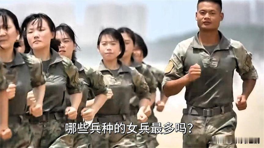 在解放军中，哪些兵种的女兵最多？为何会出现这样的情况？