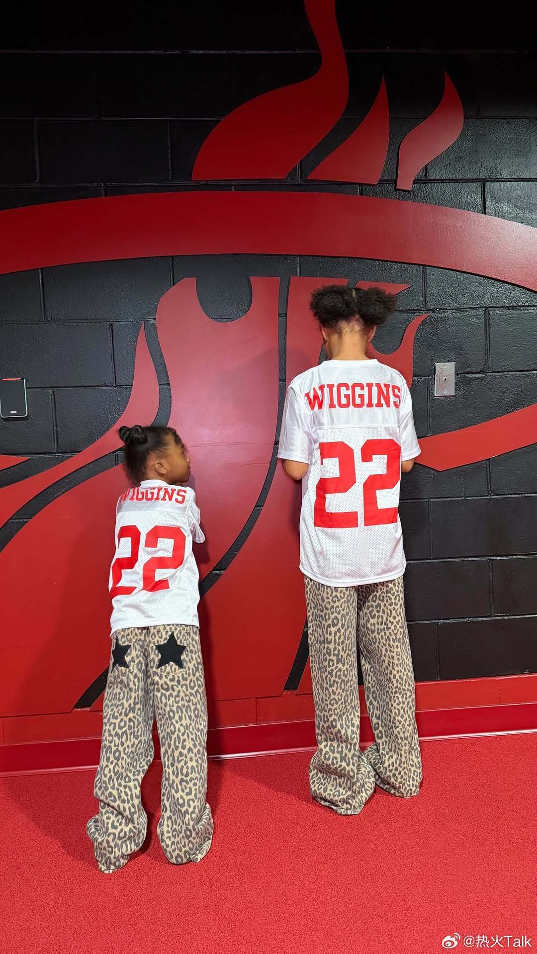 嘴嫂和嘴崽崽维金斯