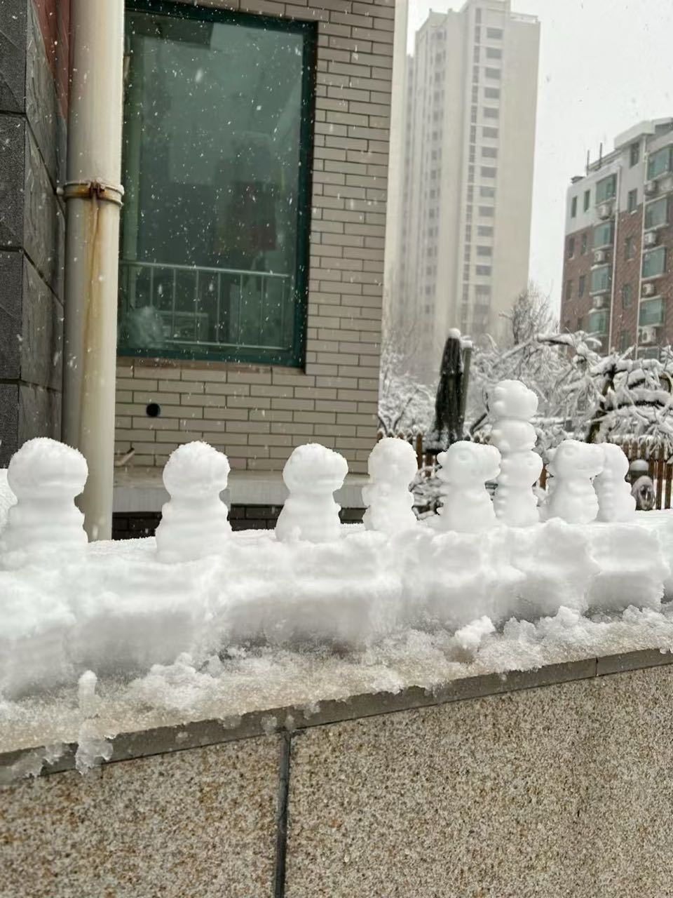 我靠 ！这是哪！ 怎么还在下雪？南方已经穿短袖了[二哈] 