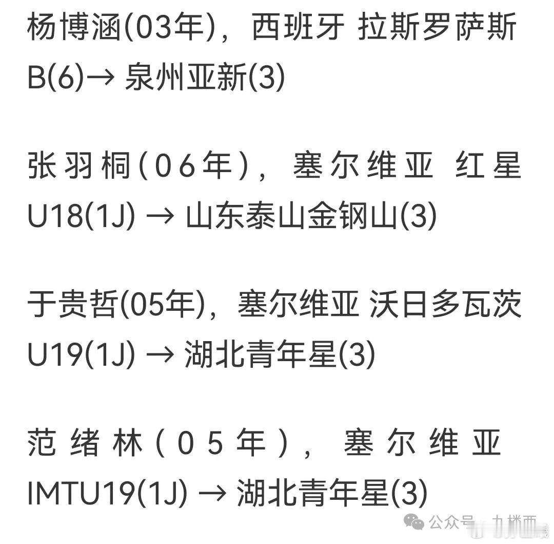 出口转内销还是出去赚经历？夏窗18位海外球员回国，5名球员加盟中超. ​​​