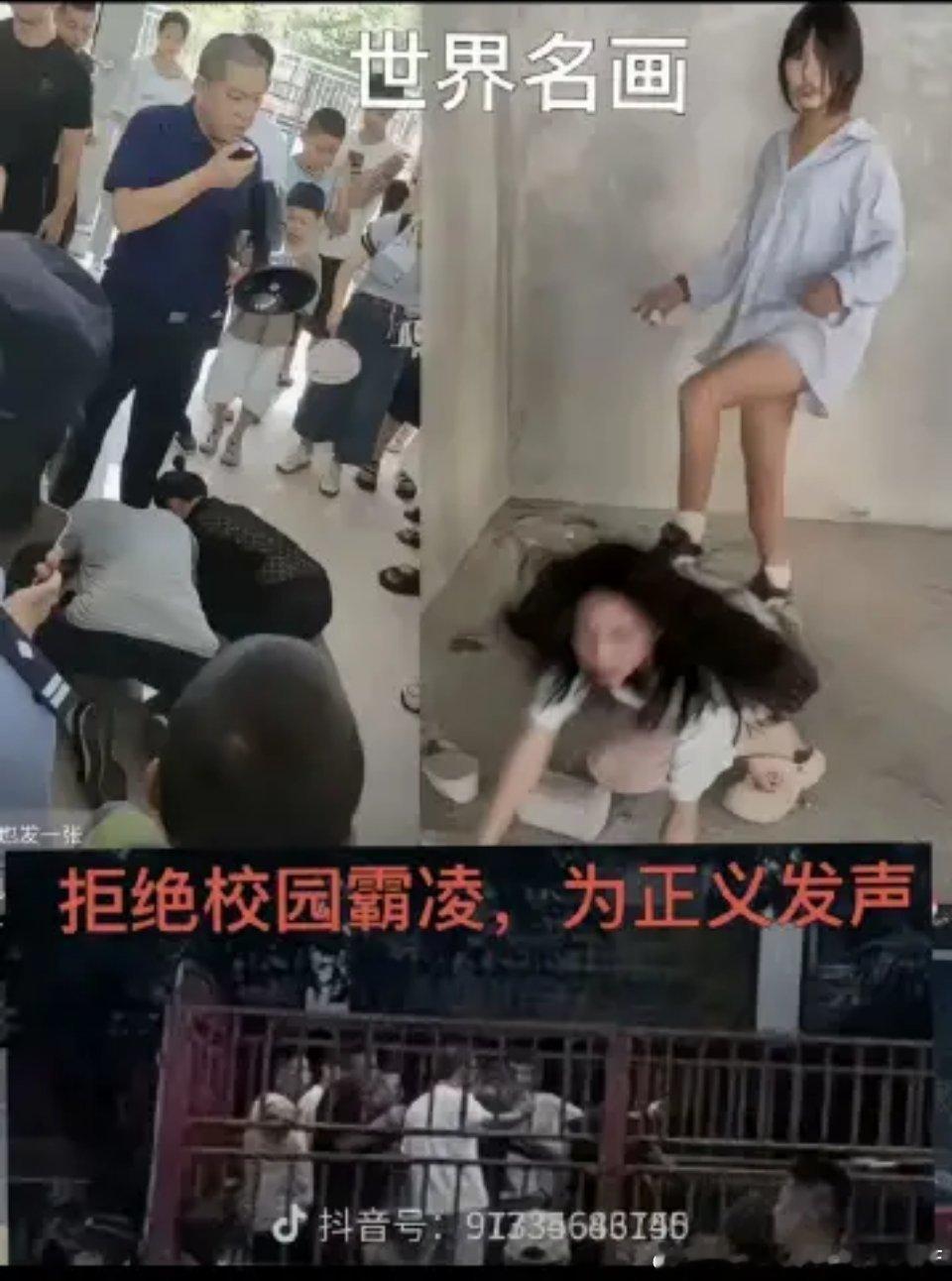 分享图片 ​​​