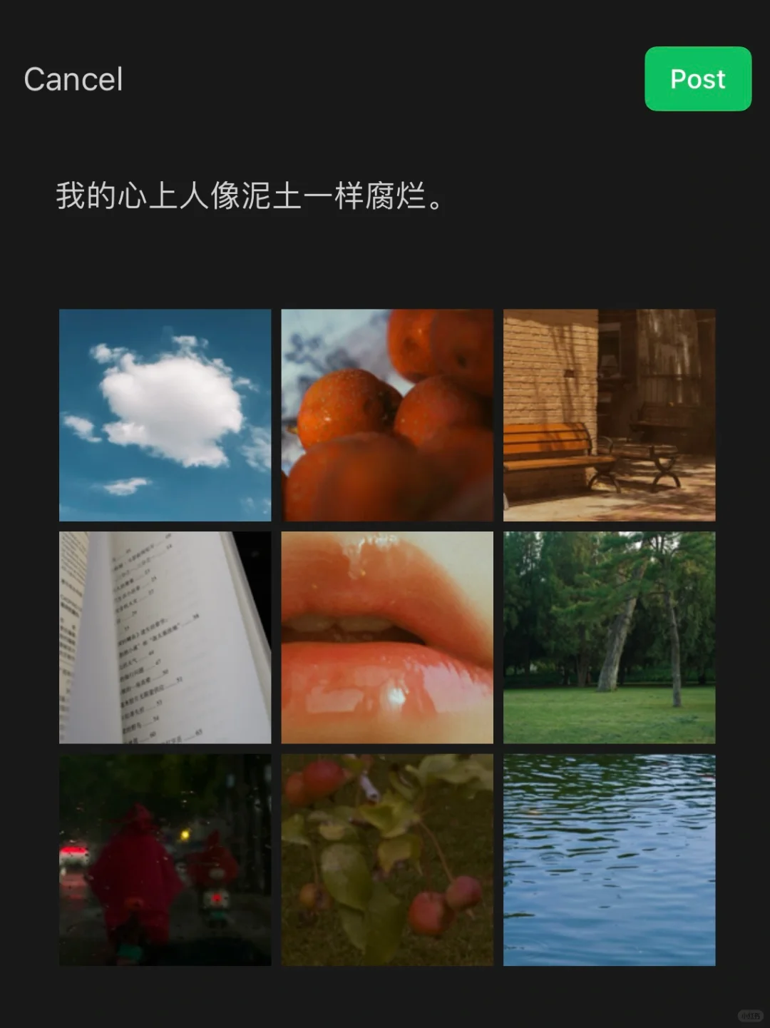 “你死了，死的年轻漂亮。”