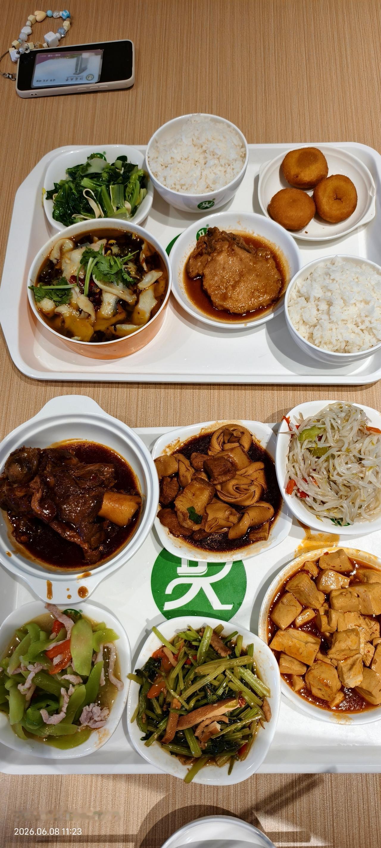 今天 回镇江，中午和女儿在学校食堂吃饭，仨人拿了十个菜，有酸菜鱼、红烧大骨头、大
