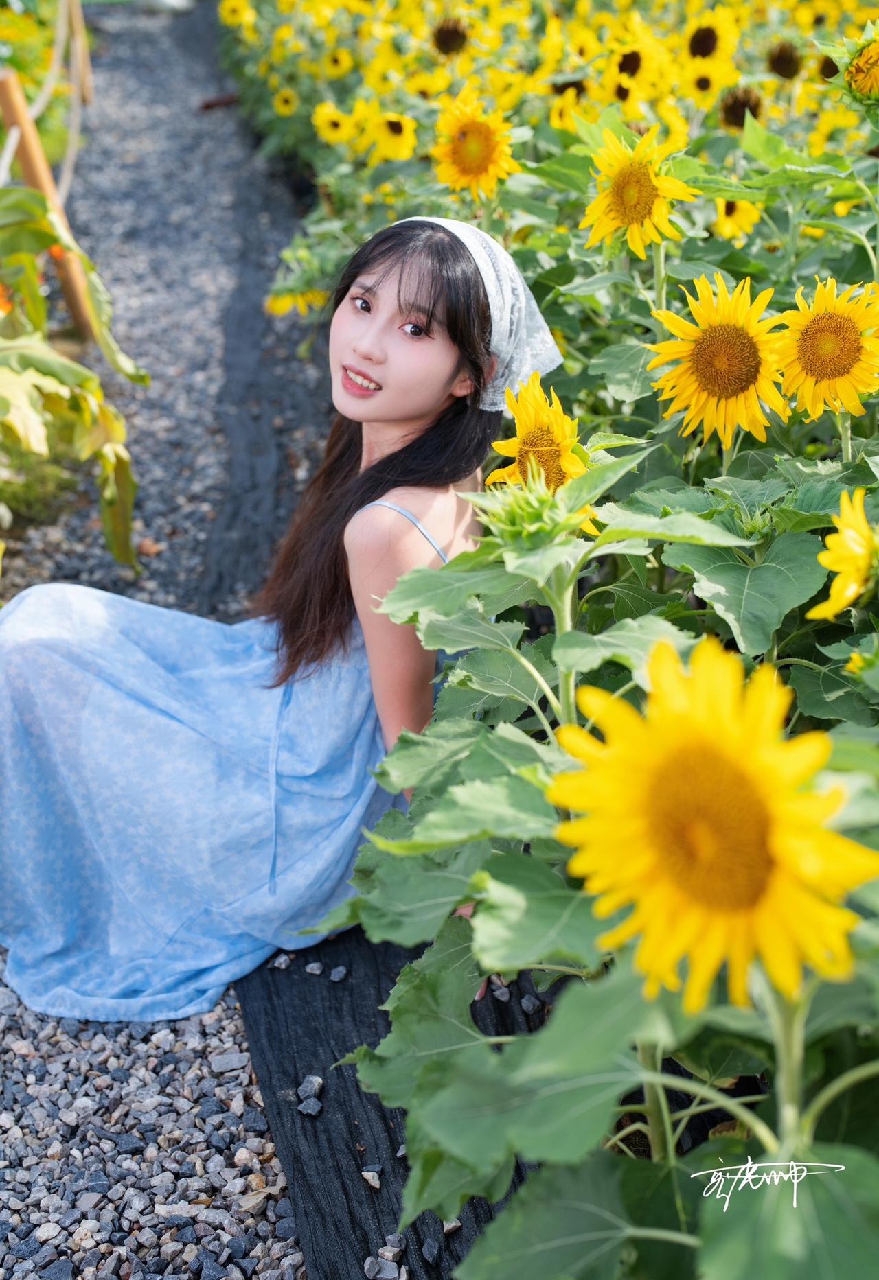 花卉公园的田园小清新，昨天看着太阳挺大的，开拍的时候光被云遮住了，就得了几张带光