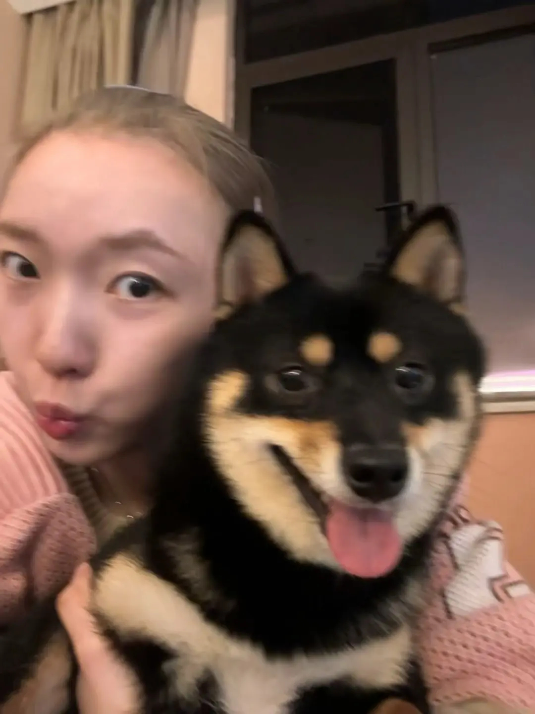 魏雅欣dy更新：我的小狗很可爱 我爱我的小狗🐶 ​​​