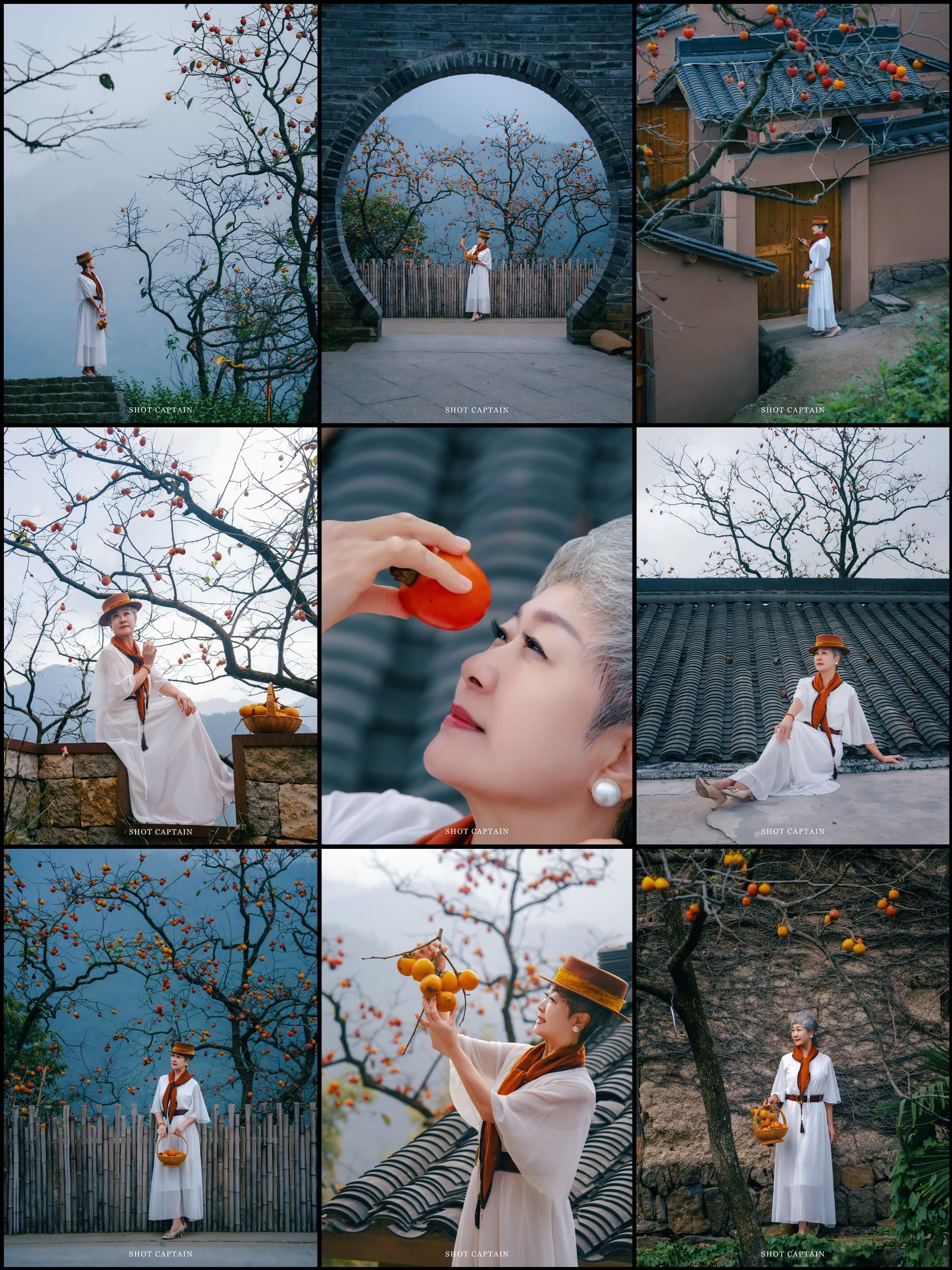 70+姐姐把重阳秋光穿在身上！兢山村的柿子红透了枝桠，70+姐姐站在树...