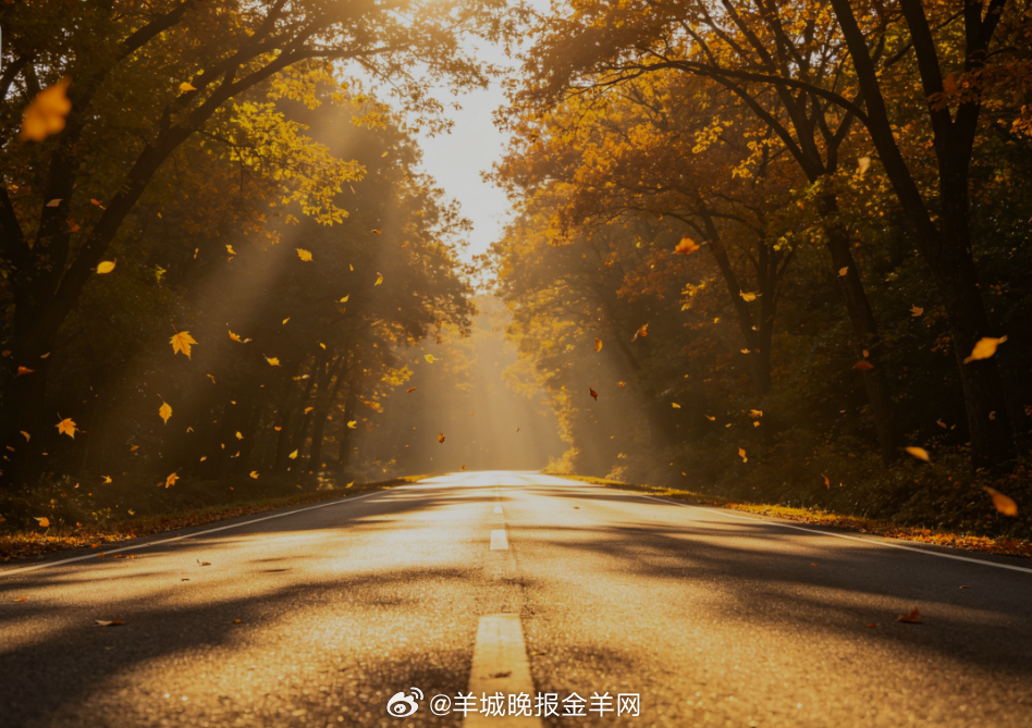 #早安# 阳光铺满绵长大道，步履缓缓向前，清风随身而行。沐浴在暖光里，心绪悠然松