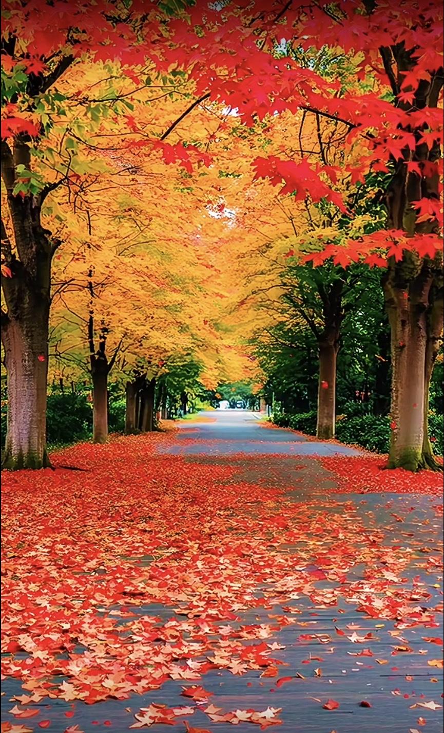 上联：叶落秋声瘦
上联：花飘春色浓