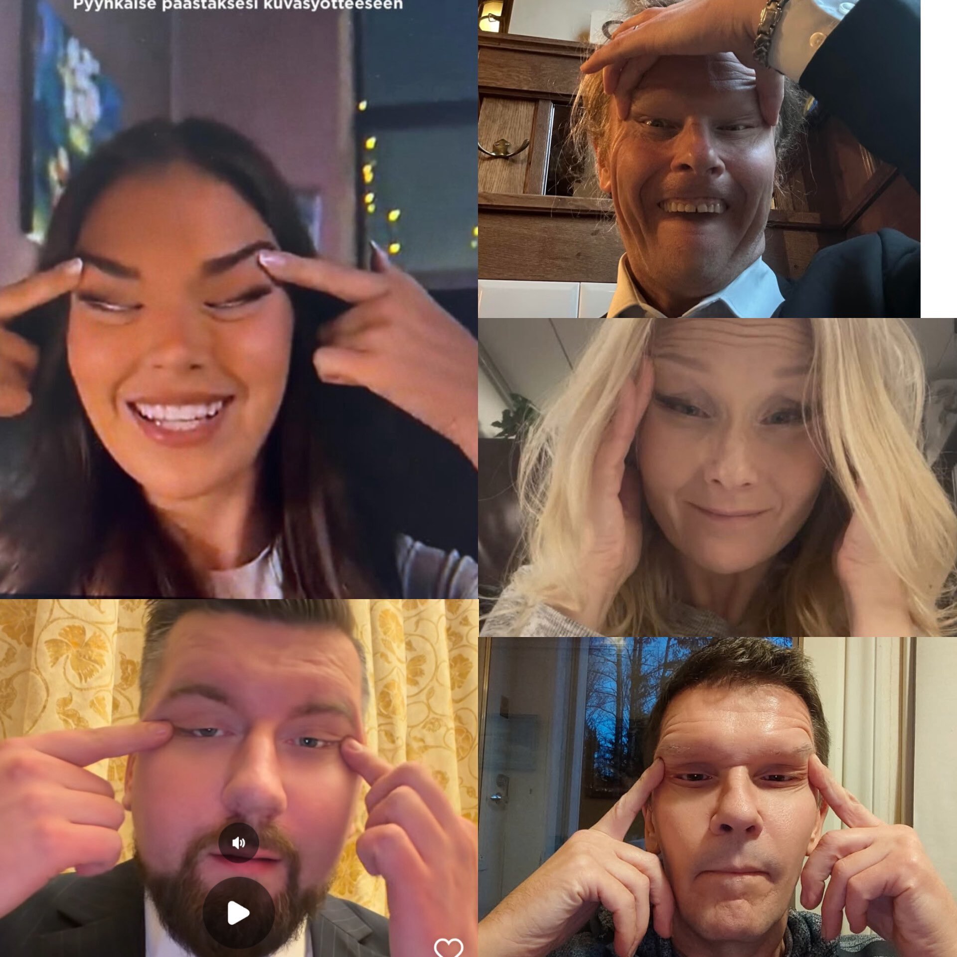 芬兰政府官员和芬兰国家顶层人物们：