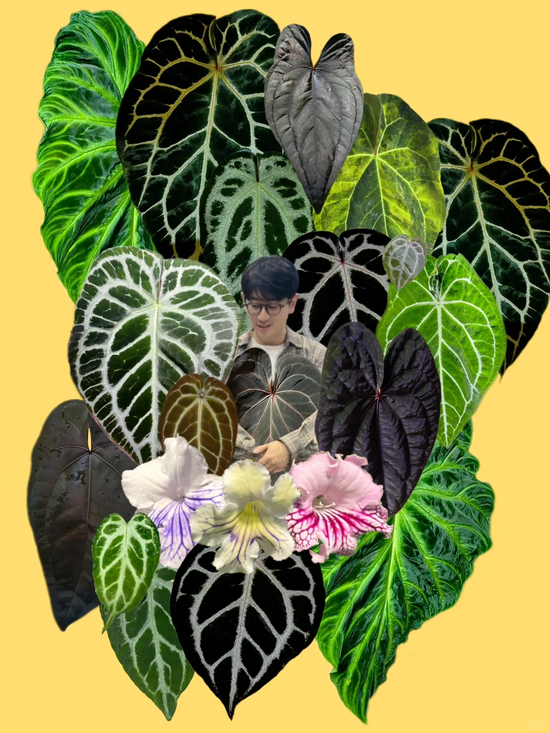 我爱我的叶子🍃，抠了一小时的成果！