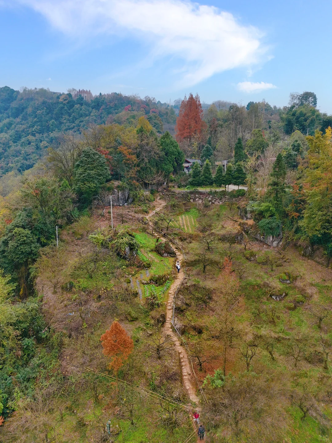 成都1h | 开车直达🍃人少景美的山野徒步路