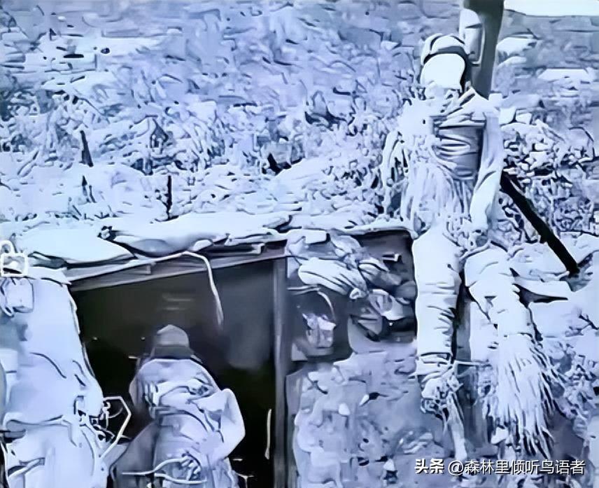  零下40度的酷寒中，两名志愿军烈士身着单衣，靠塞满衣物的枯草取暖，这一幕被美军