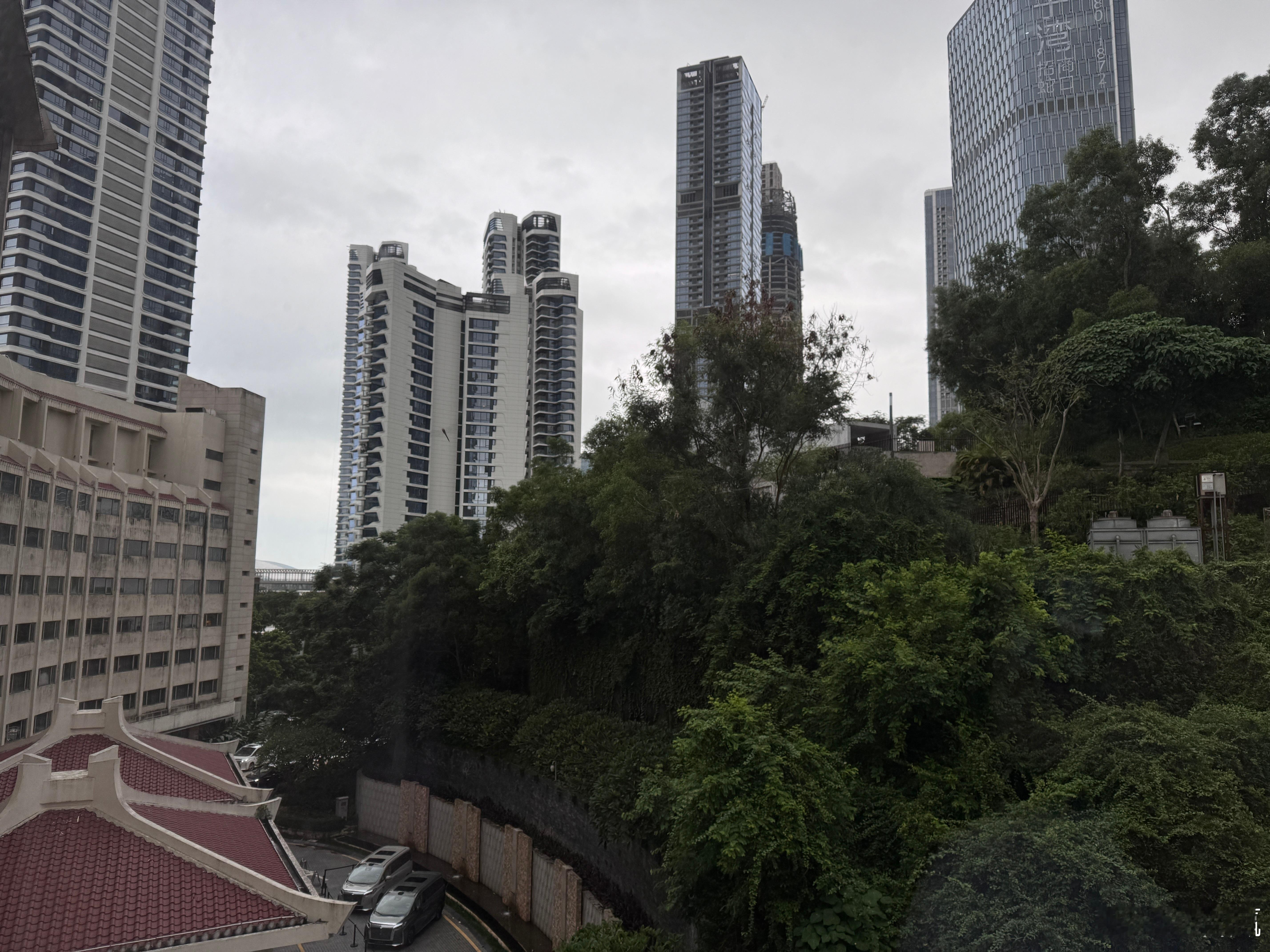 深圳，早晨～  ​​​