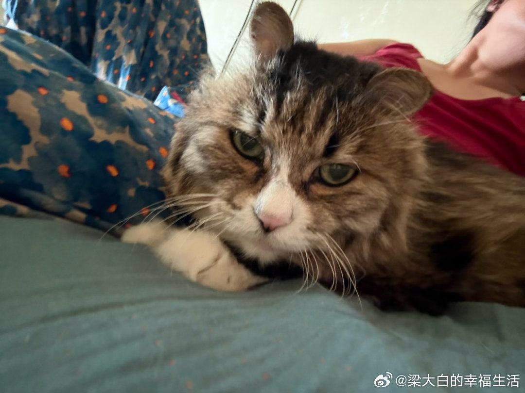 才一点半就哼哼唧唧的闹着要吃晚饭硬扛着没给开饭，现在不高兴了，远远的用屁股对着我