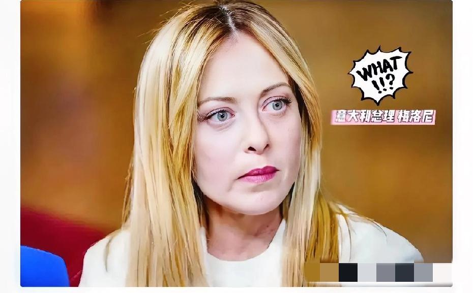 快讯！欧洲突然放狠招！
意大利总理梅洛尼，今天在议会放了个大招。

意大利总理梅