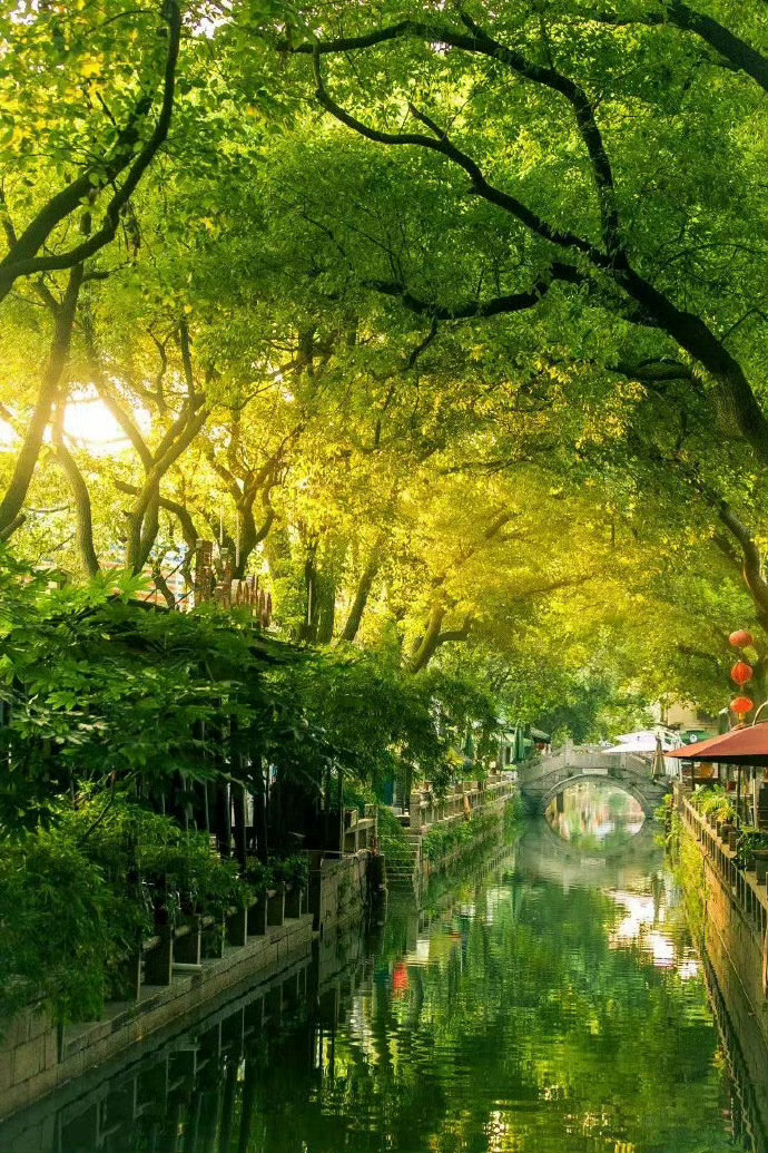 苏州 | 同里是一场梦，一场青葱的梦。 ​ ​​​