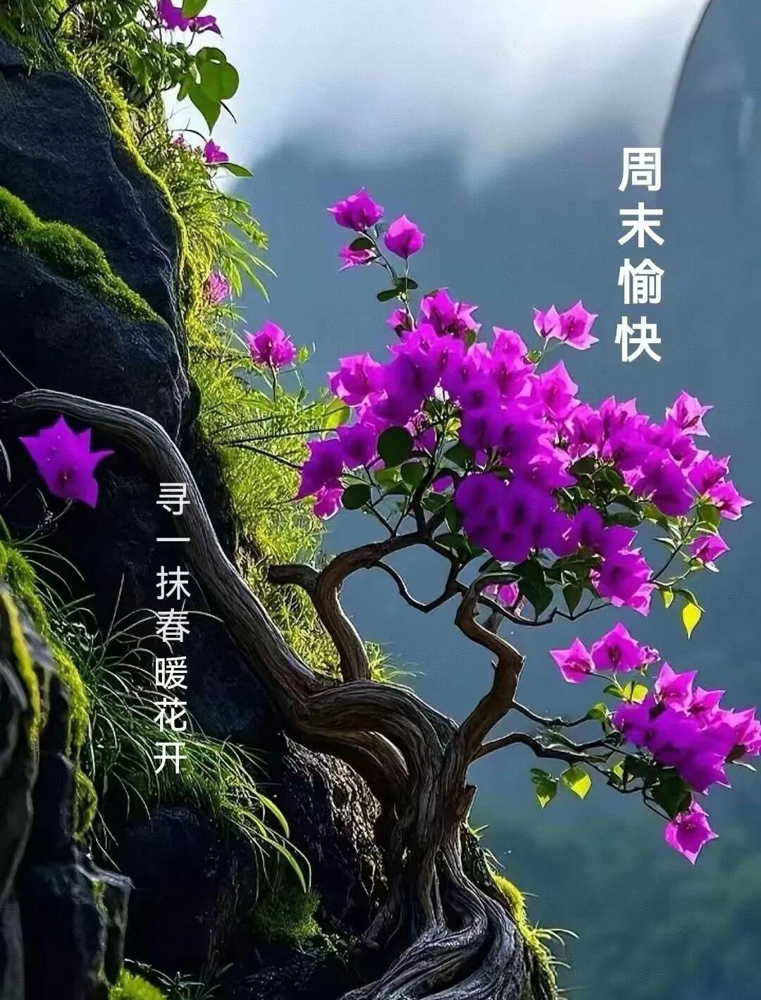 🌿下一站，夏天🌿是开始，
是希望，是既往不咎，是来日方长，
我们的目标永远是