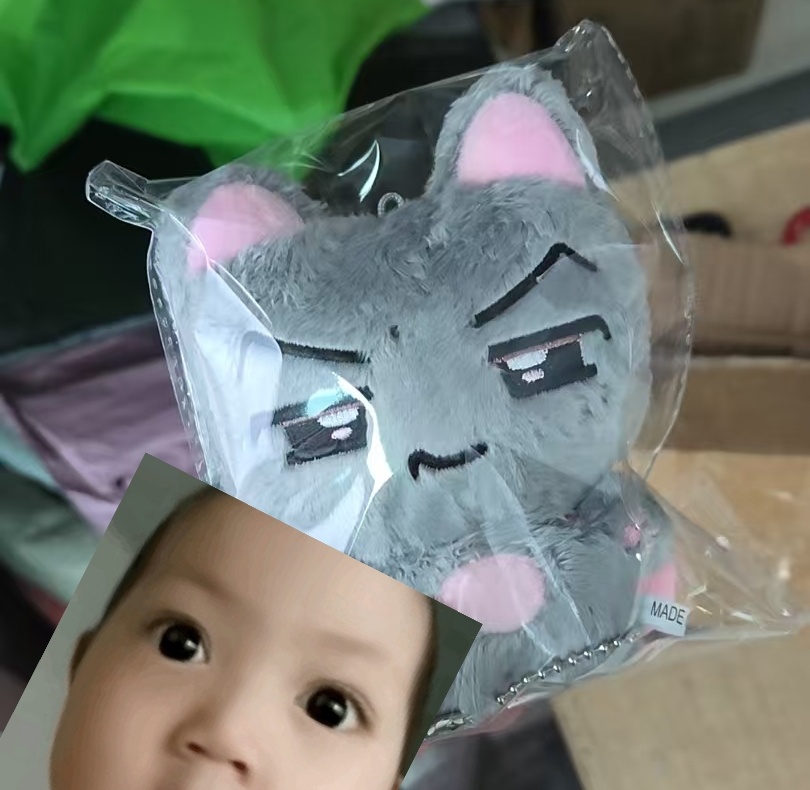 找了半天突然出现的快递到底是何方妖孽结果就是它伪装成猫来吓唬我们是吧 
