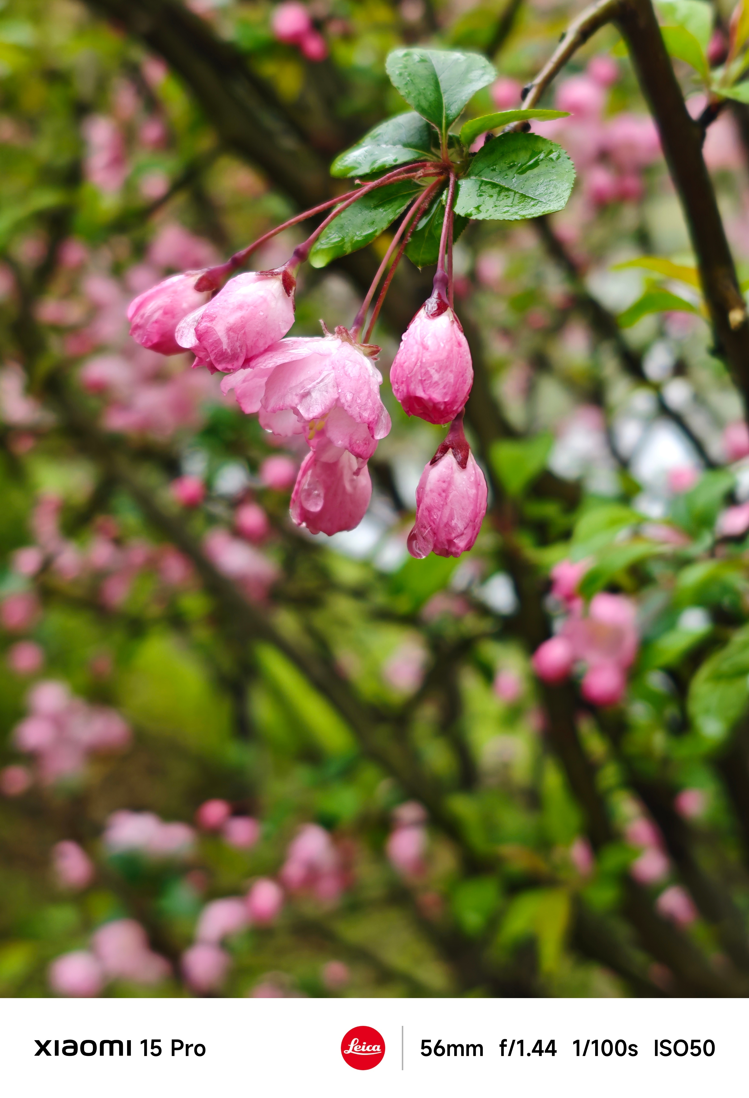游客因拍照设备太专业被景区驱赶这搞的  不让三脚架和闪光灯，其实手持专业相机也能