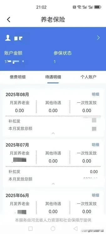 还是大河北有意思，2025年养老金调整实施方案细则都没出台，结果养老金今天已经补