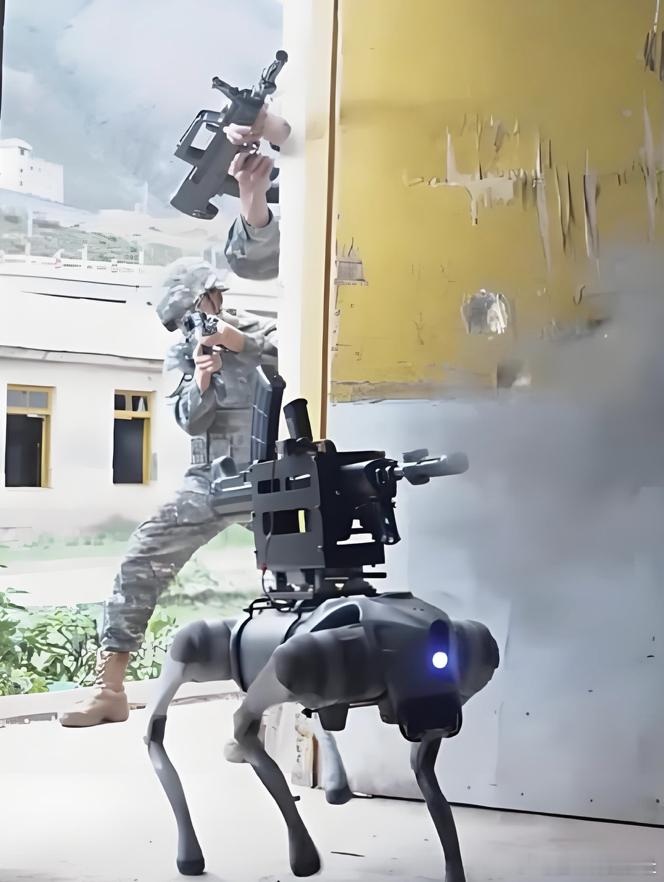 最近啊，在武警第一机动总队的一个支队，冀中那边的训练场上，出现了特别新奇的一幕—