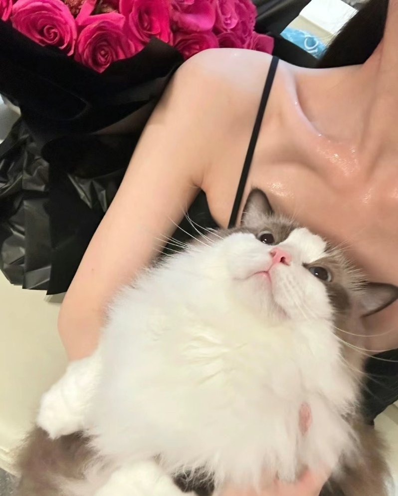 的确 人在知足的时候最富有 在珍惜的时候了最幸福. ​​​