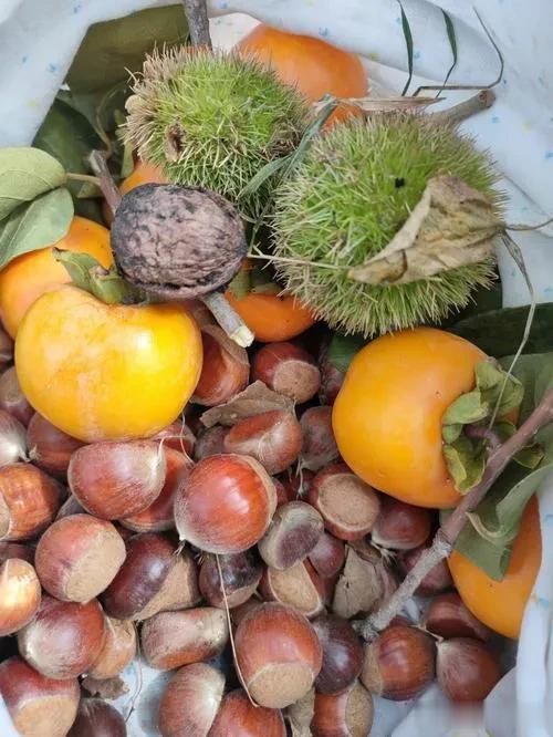 #秋之童话# 
其实秋天不是秋天，秋天是夏天努力地想要停止下来的那段时光