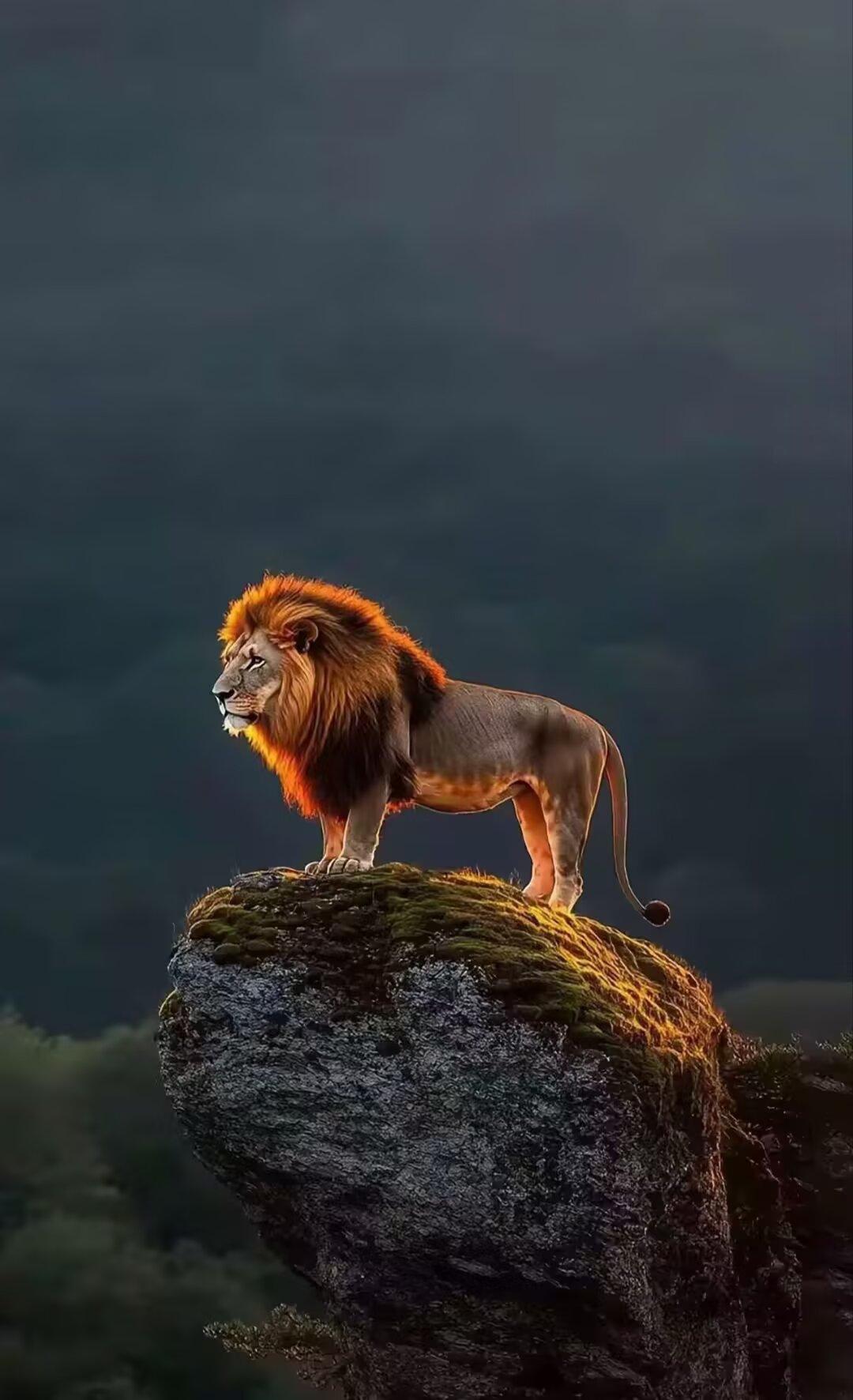 一个人久了会喜欢两个人的温暖，两个人久了又会想一个人的自由……