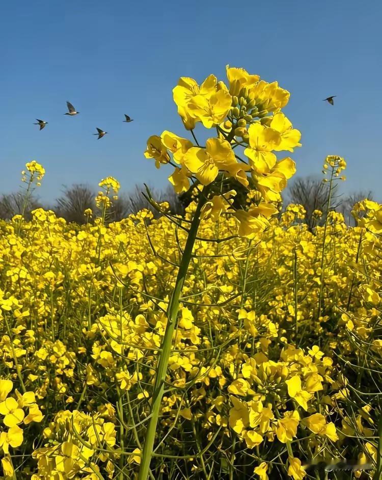 我不是迷信，多年的观察社会和亲身经历，发现整人的人，忘恩负义的人，投机钻营的人，