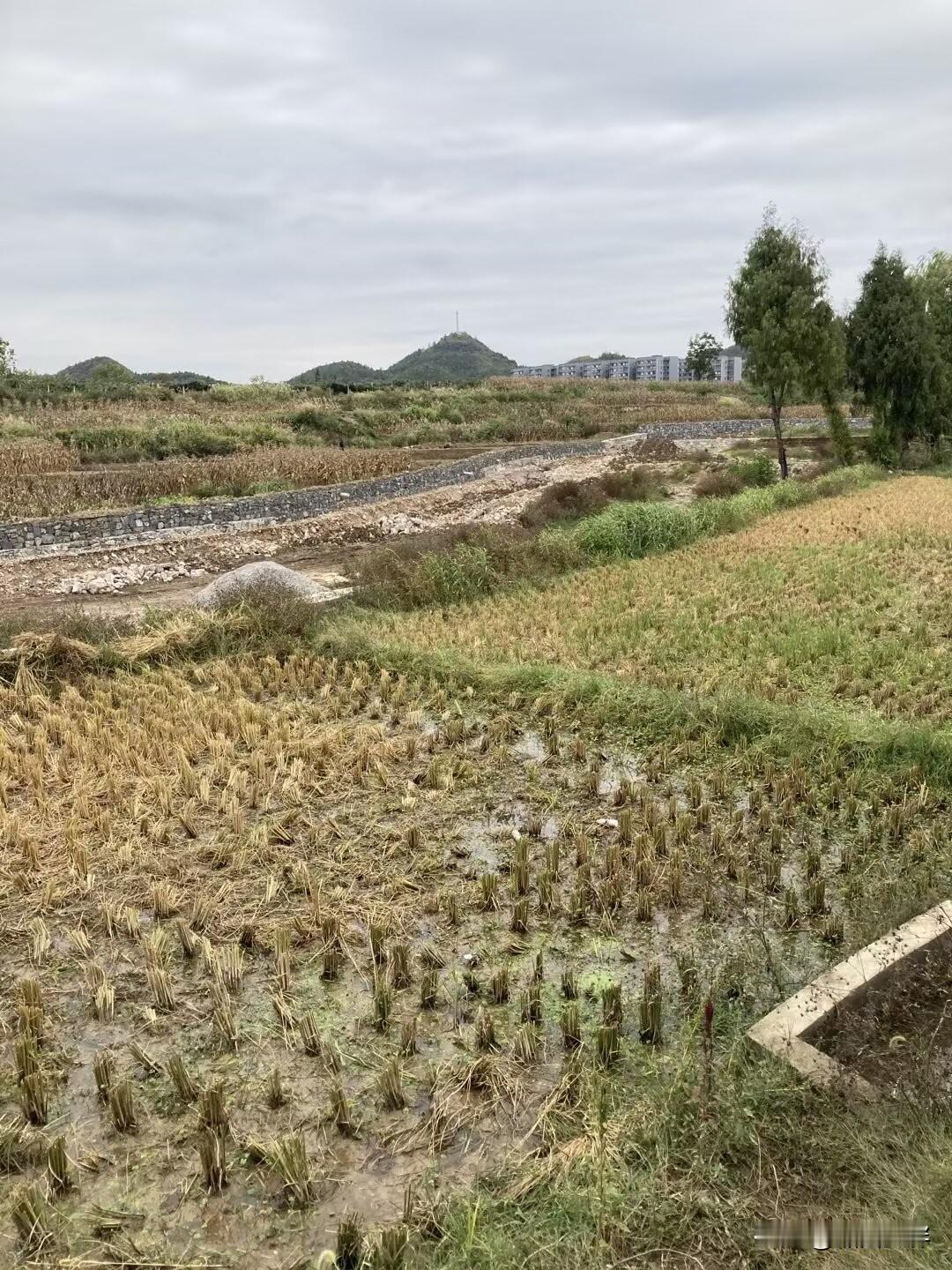 农村多数家庭不和、兄弟反目、婆媳争吵，根源不在晚辈，而是有些老人一辈子拎不清，偏
