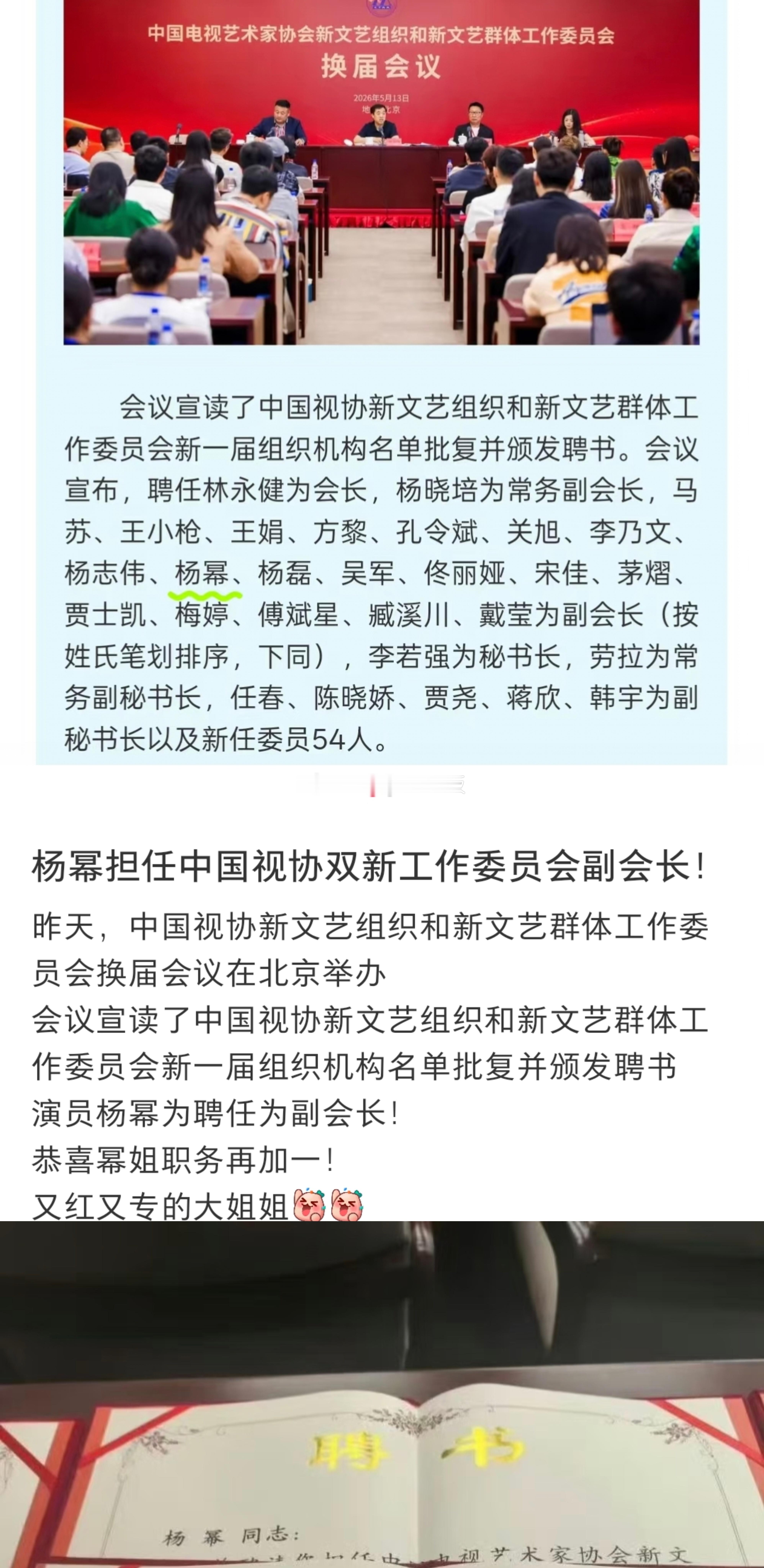 杨幂担任中国视协双新工作委员会副会长。 