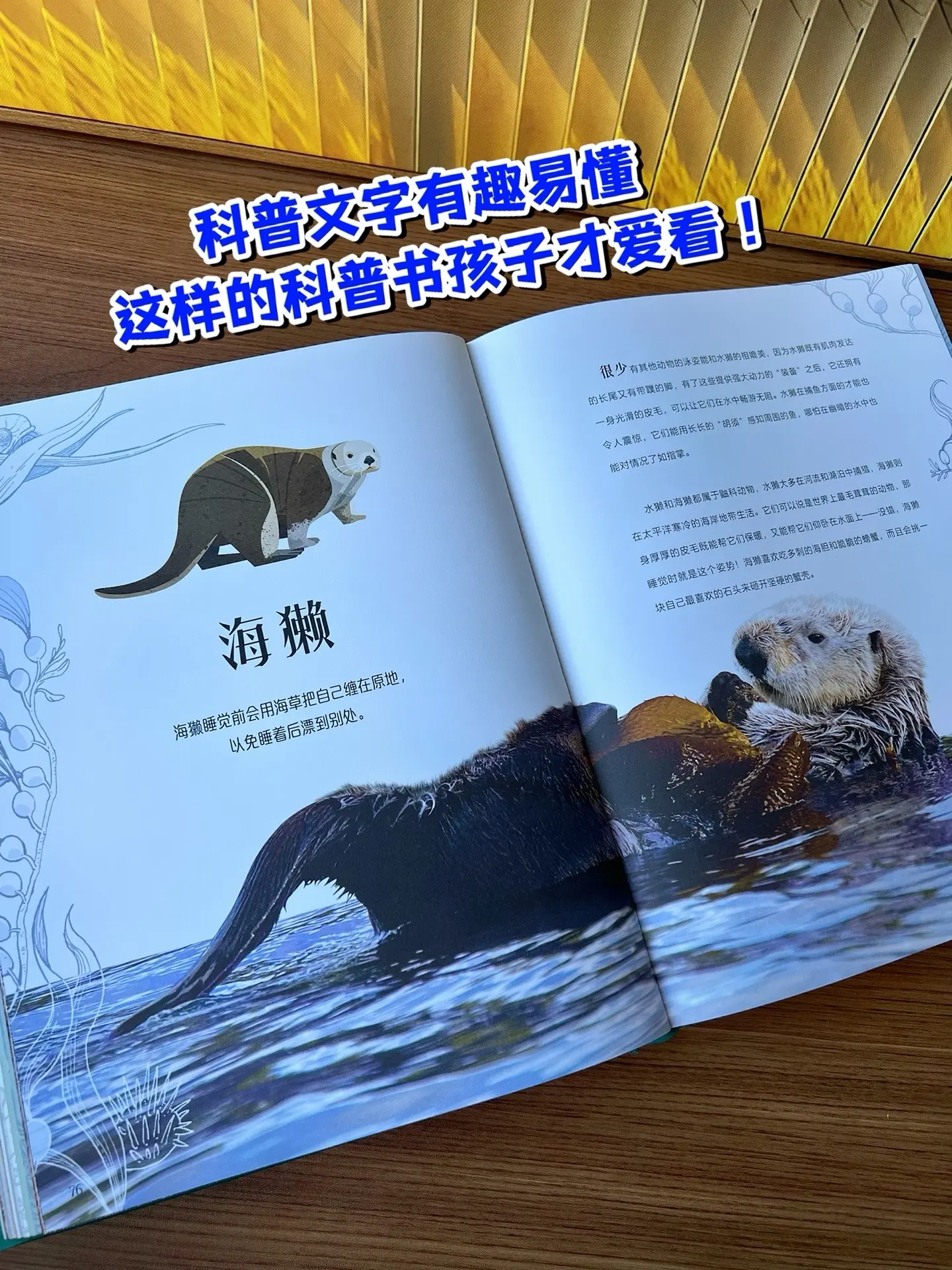 不愧是央妈推荐！科普书的颜值天花板，又被DK拿捏啦！《DK典藏博物馆系...