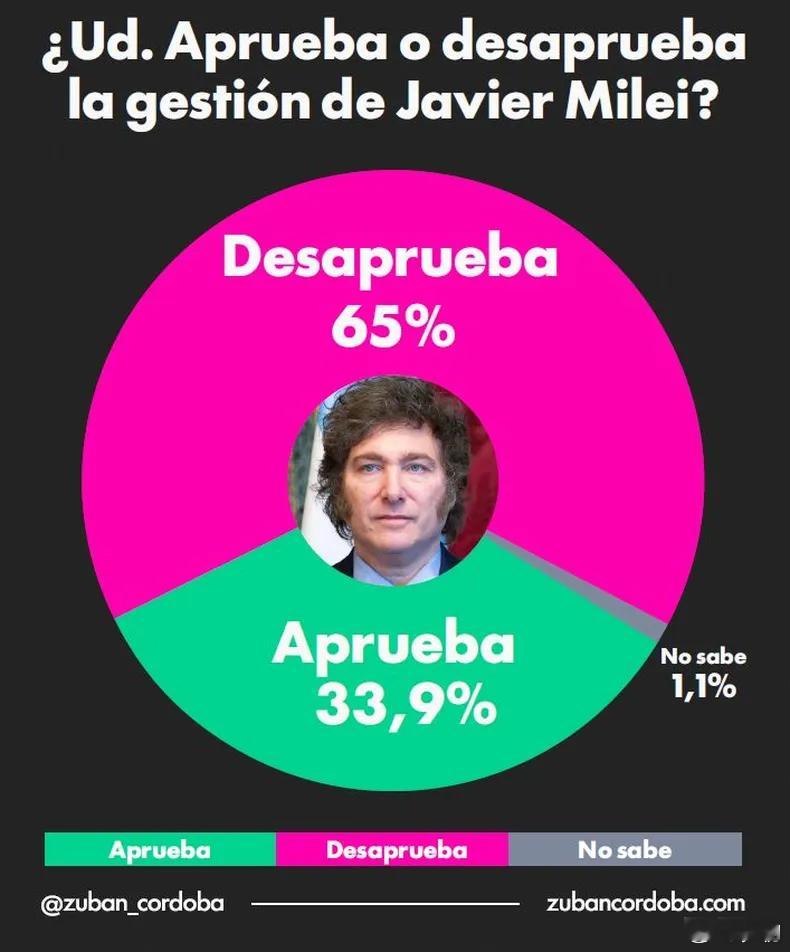 阿根廷媒体《C5N》：总统哈维尔·米莱的形象持续下滑，如今他已成为拉丁美洲最差的