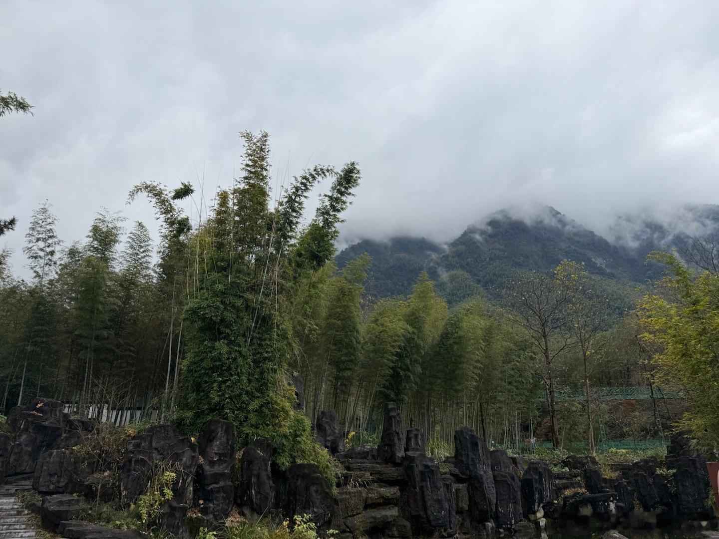 我说我要去徒步，他瞪大眼睛：你⛲了一早上，脚不软啊？“还行，你🐶子脚还是练过的