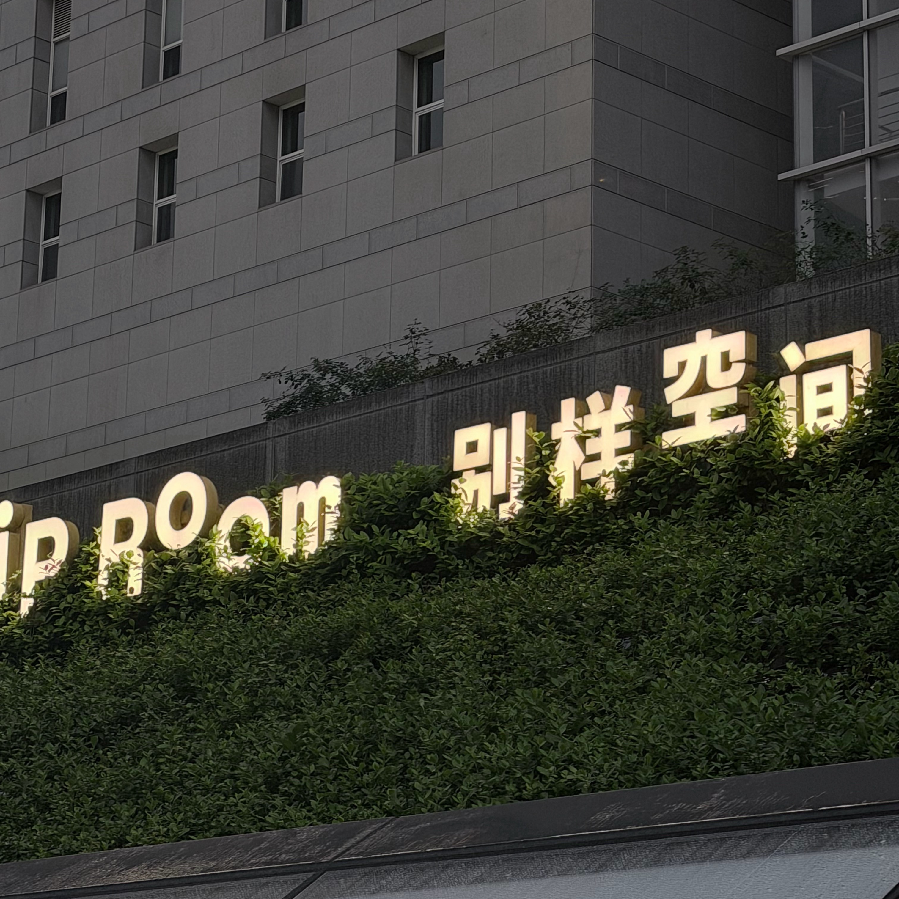 哪里来的闲情逸致 哈哈有的 老师 