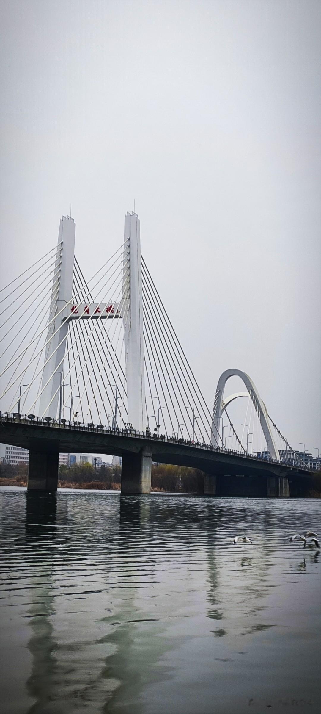 晒图笔记大赛今天仍然飘雪，落下的瞬间就融化了。伸出胳膊，让雪花落在袖子上，毛绒绒
