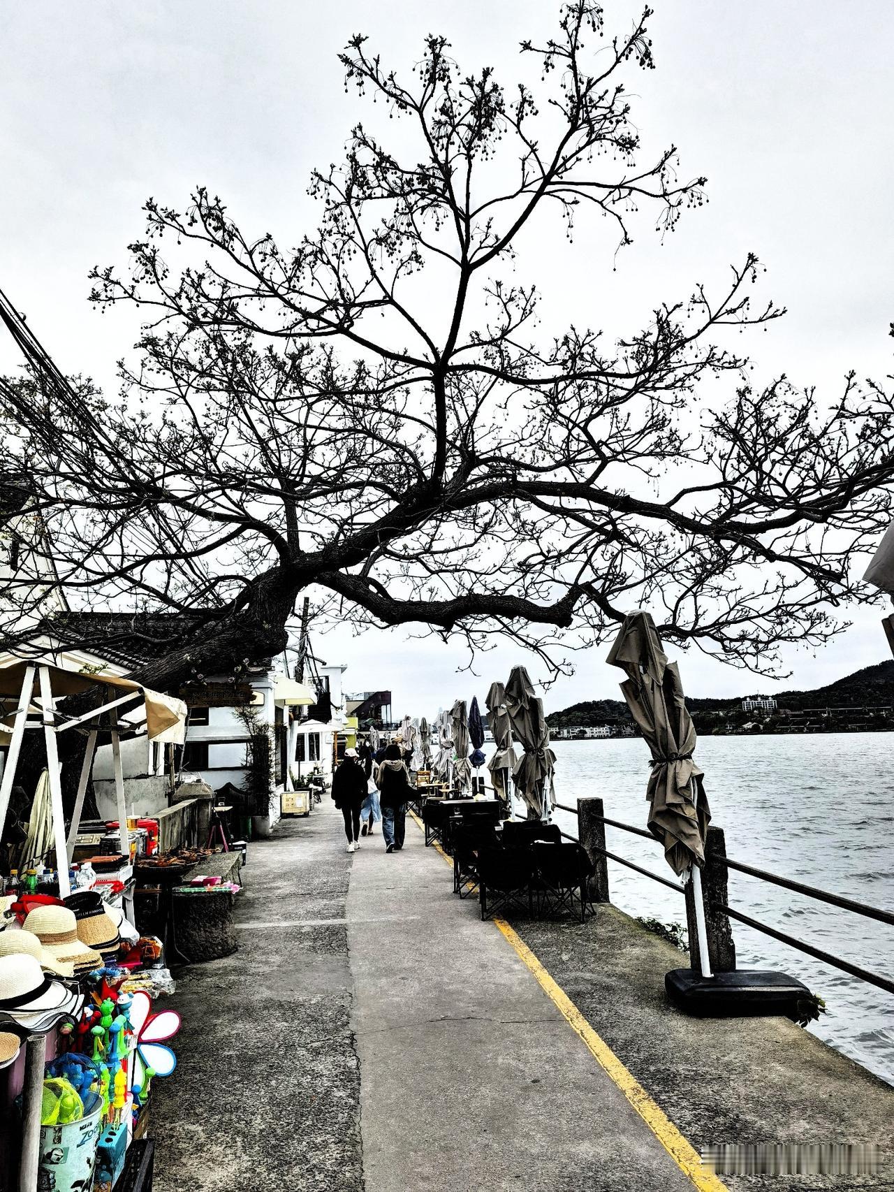 认识自我，提高自我，接受自我。

什么叫爱自己，也许很多人从来没有想过，心想对自