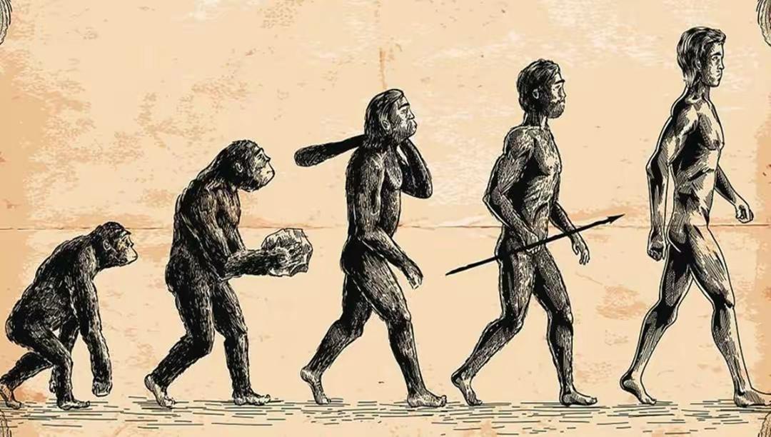探索揭秘人类与宇宙自然进化关系。（二）
     人类身体健康对地球物理转化与宇