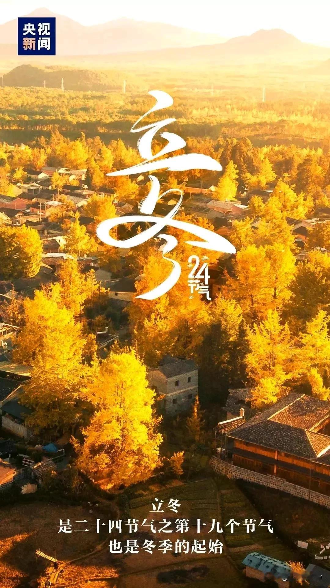 秋尽立冬始，美好正当时，寒冷不是希望的终结，而是孕育新生的种子，愿身边的朋友们不