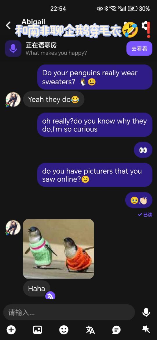 HT聊天绝杀技！和不同国家网友话题攻略🔥