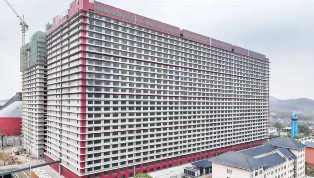 现在猪肉便宜到什么地步？

沈阳菜市场的特价猪肉比青椒还低，湖南毛猪价跌到 5 