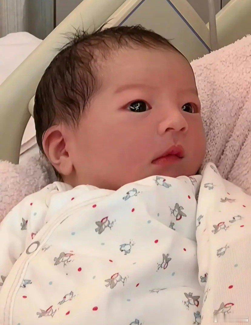 郭富城和方媛的三个女儿都挺好看以前一直以为方媛整过容 因为她长得太完美了 看了她
