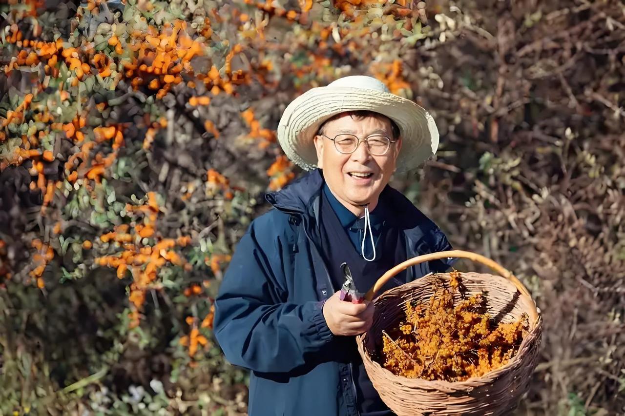 中国退休老人退休后不开启二次创业，原因有很多。从文化背景看，传统观念里老人退休就