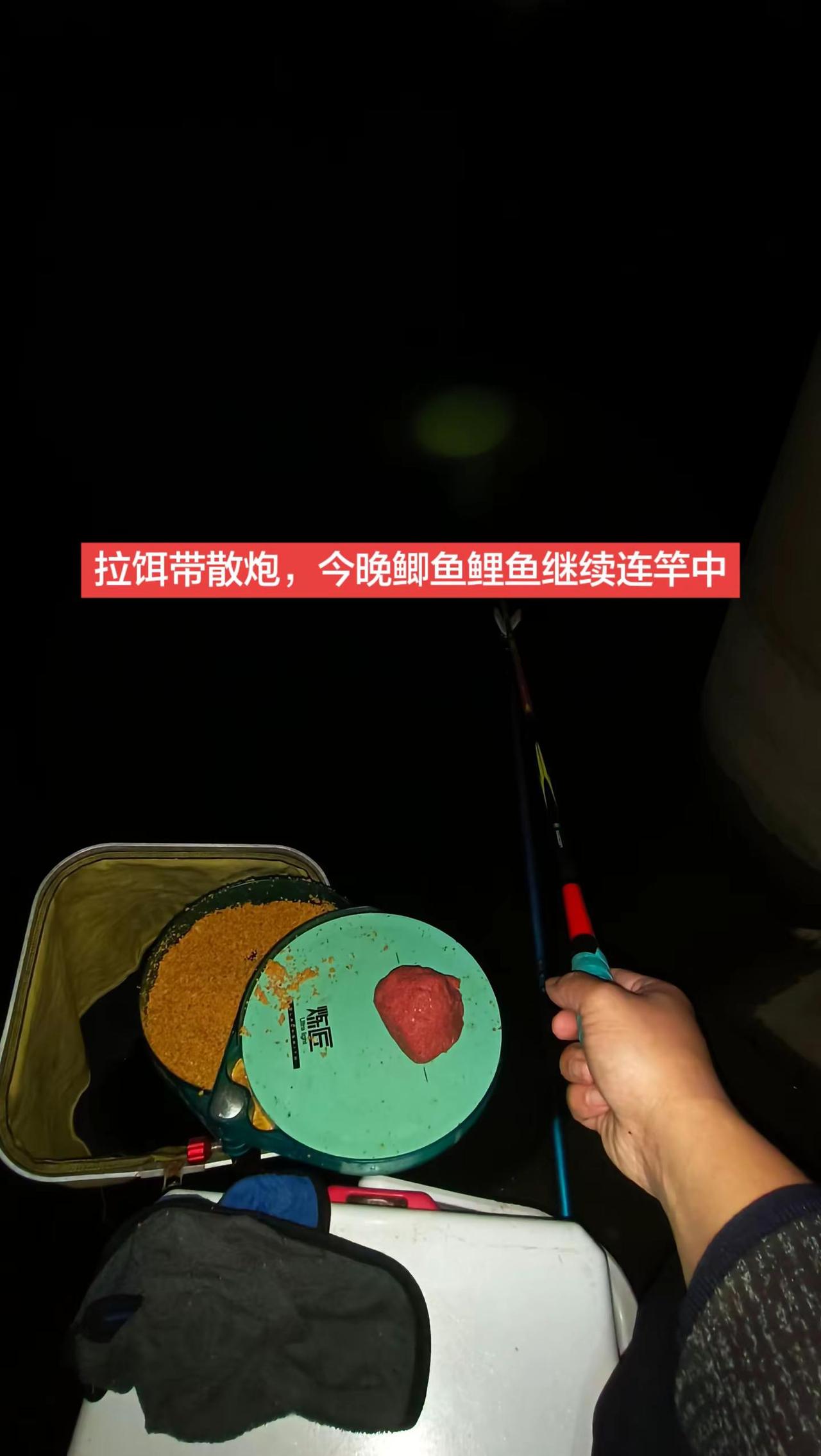 夜钓鲫鱼鲤鱼连竿的快乐谁懂啊。钓鱼 夜钓野钓