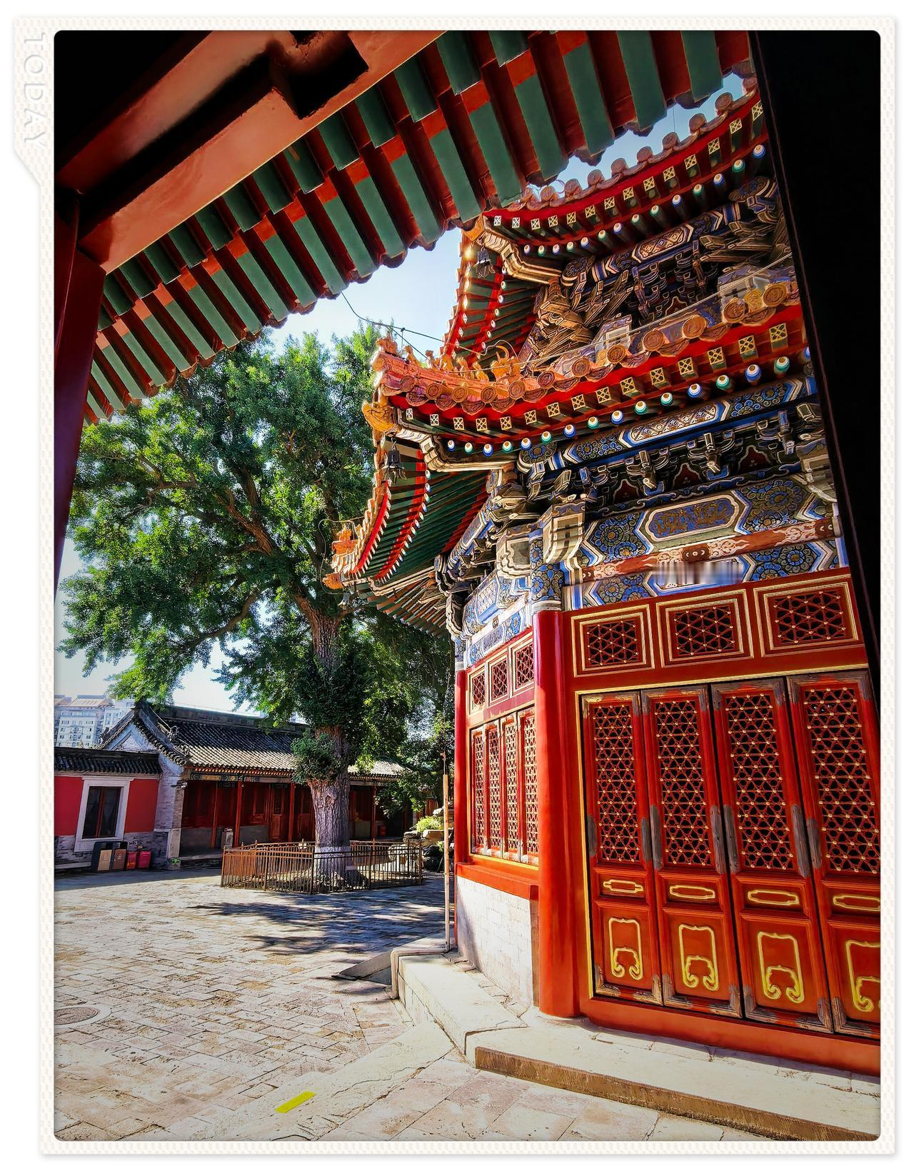 初秋北京万寿寺