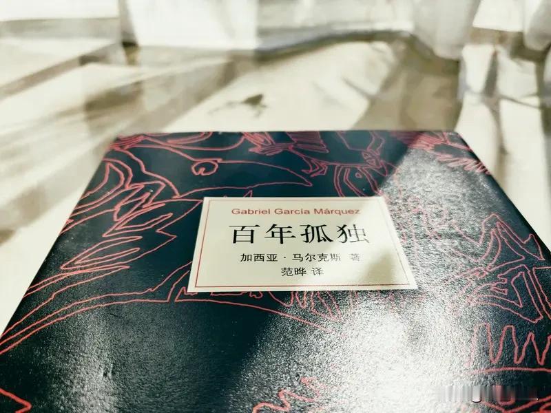 初读《百年孤独》，总在错综的名字与交叠的血缘间迷失。可当奥雷里亚诺们的命运一再重