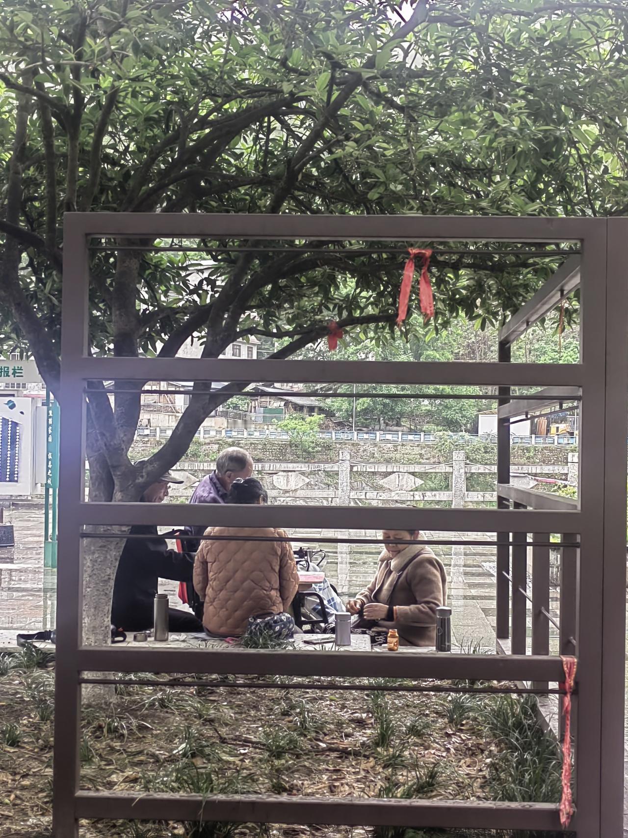 晒图笔记大赛你看，这麻将瘾有多大啊！下雨了，依然冒雨打麻将，难道不怕生病吗？他们