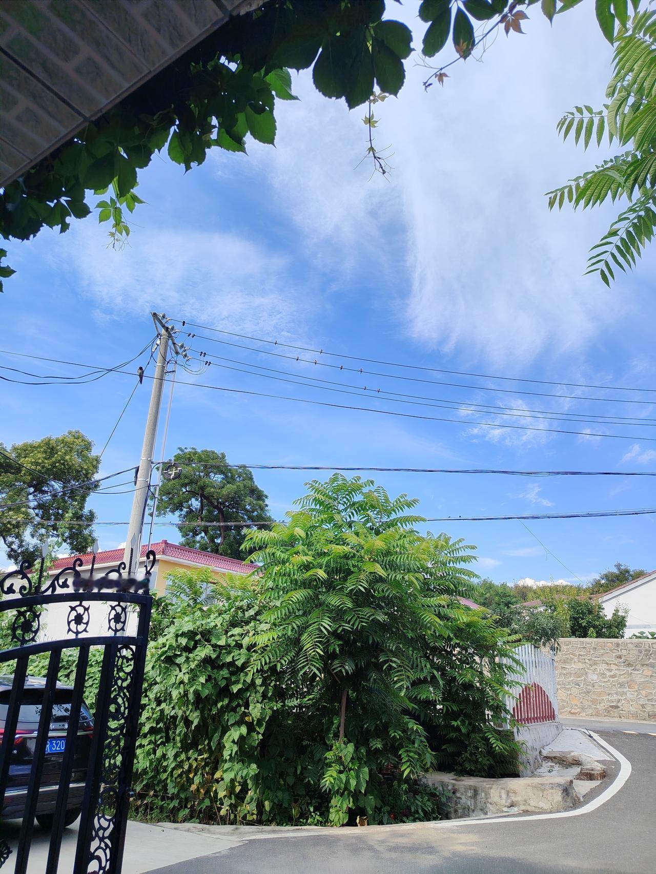 囚徒在暗室中绝望踱步，眼中只有四壁。智者递给他一把锤子，他却用它砸碎了墙，让阳光